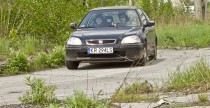 Krcioek Krakowski